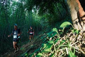 BIB: 
                            <button type="button" onclick="openModal(28124292)" class="btn btn-primary btn-sm float-right btn-popup" data-toggle="modal" data-target=".modal-high-quality">
                        <i class="fas fa-shopping-cart"></i> Add to Cart
                    </button>
                                            <button type="button" onclick="isThisMe(28124292, true)" class="btn btn-success btn-sm float-right btn-popup btn-isme hidden" data-toggle="tooltip" data-placement="bottom" title="นี่คือรูปของคุณใช่ไหม คลิกที่นี่เพื่อเอาเข้าอัลบั้ม">
                        <i class="fas fa-plus"></i> Add to album
                    </button>
                    <button type="button" onclick="isThisMe(28124292, false)" class="btn btn-warning btn-sm float-right btn-popup btn-isnotme hidden">
                        <i class="fas fa-ban"></i> Remove from album
                    </button>